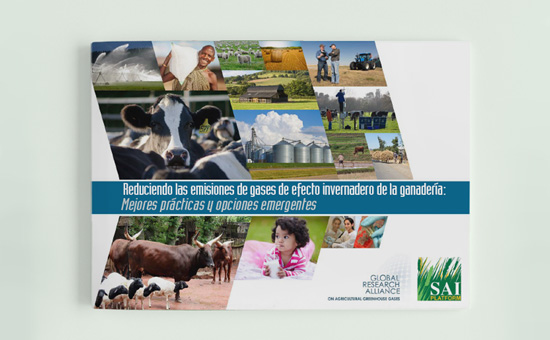 Reducing GHG Emissions from Livestock (Spanish) picture