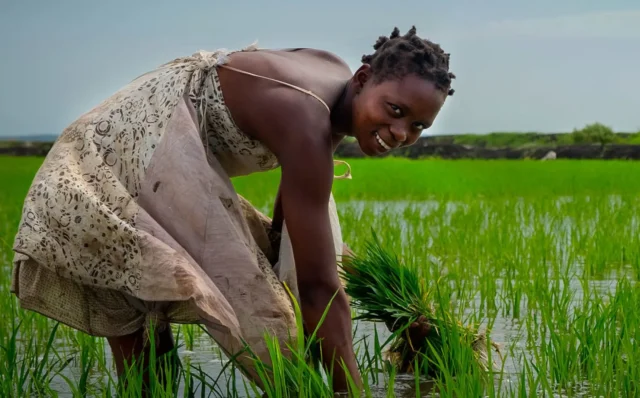 Farming for Sustainable Development picture
