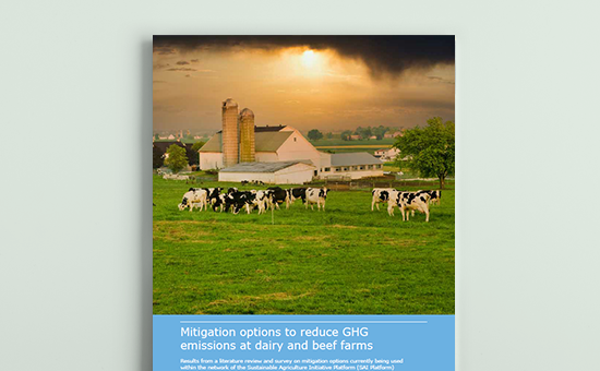 Mitigation options to reduce GHG emissions at dairy & beef farms picture
