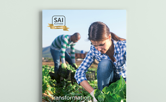 Annual Report 2021 – Transformation through collaboration picture