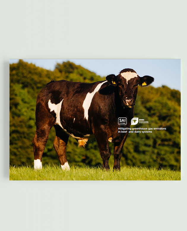 Practical guidance for mitigating GHG emissions in beef & dairy systems picture
