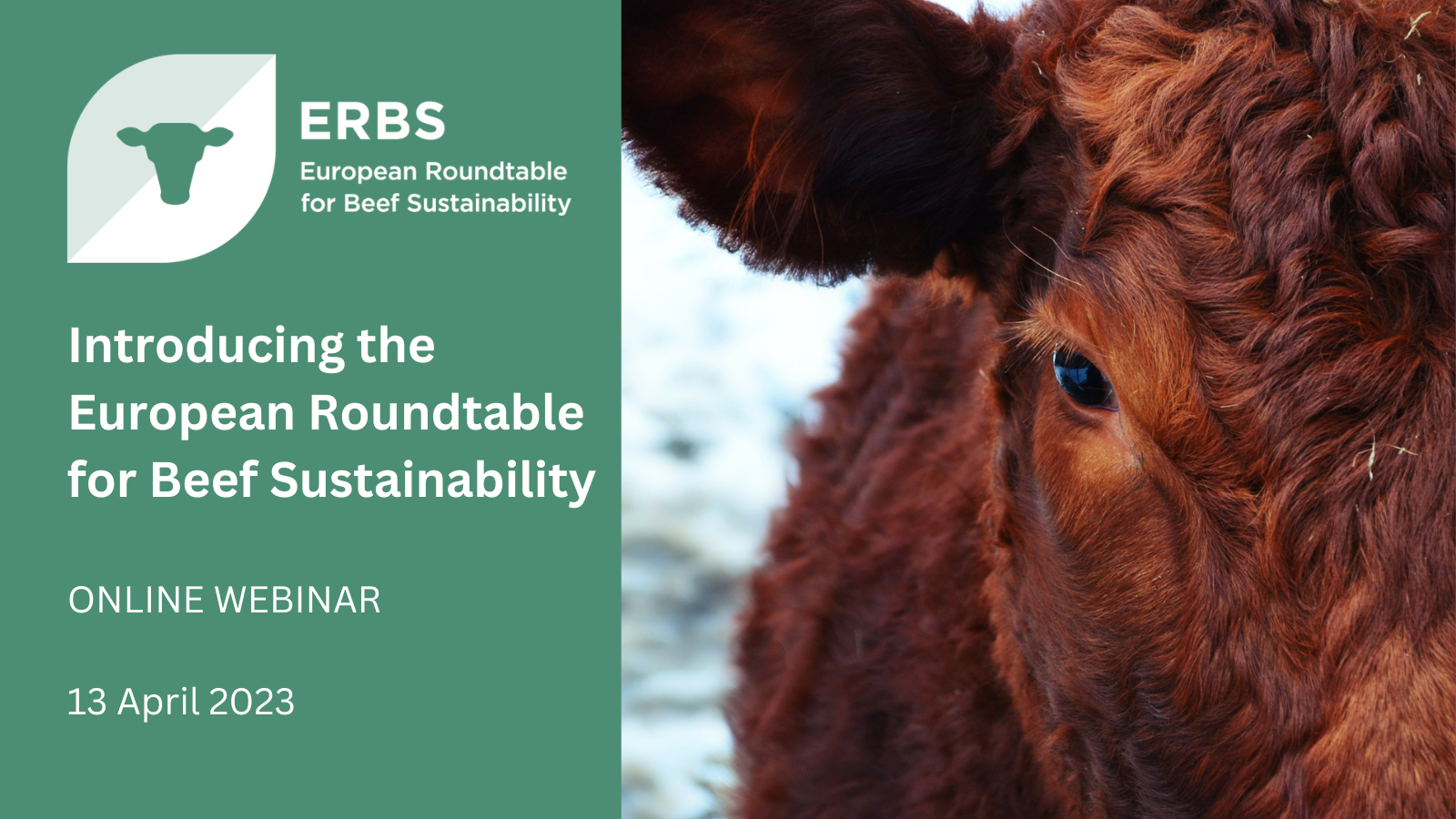 Introducing The European Roundtable For Beef Sustainability — SAI Platform