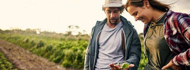 Low-Carbon Fertilisers: Sharing Insights Across the Value Chain picture