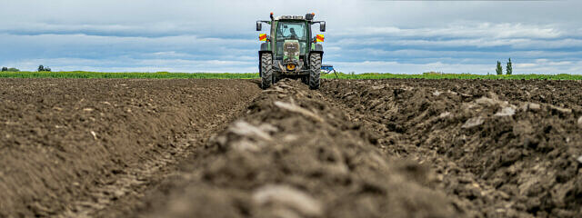 Pioneering Change: How Regenerative Agriculture is Transforming Potato Farming in New Zealand picture