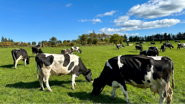 A New Chapter of Leadership and Progress for the Dairy Working Group picture