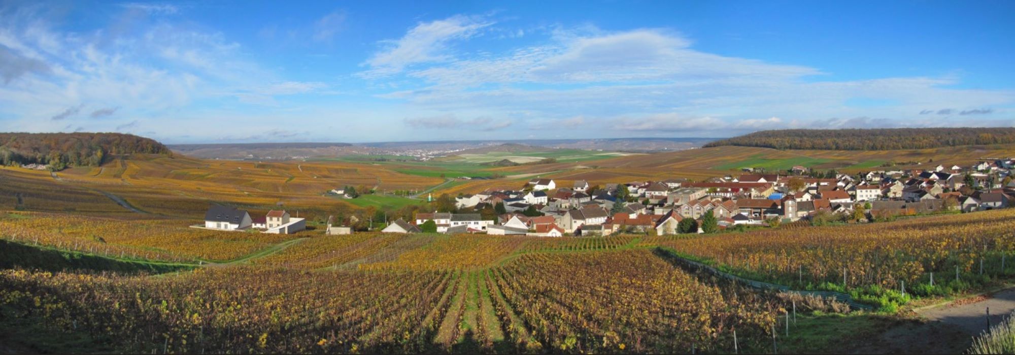 Header background picture