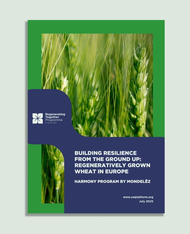 Building Resilience from the Ground Up: Regeneratively Grown Wheat in Europe picture