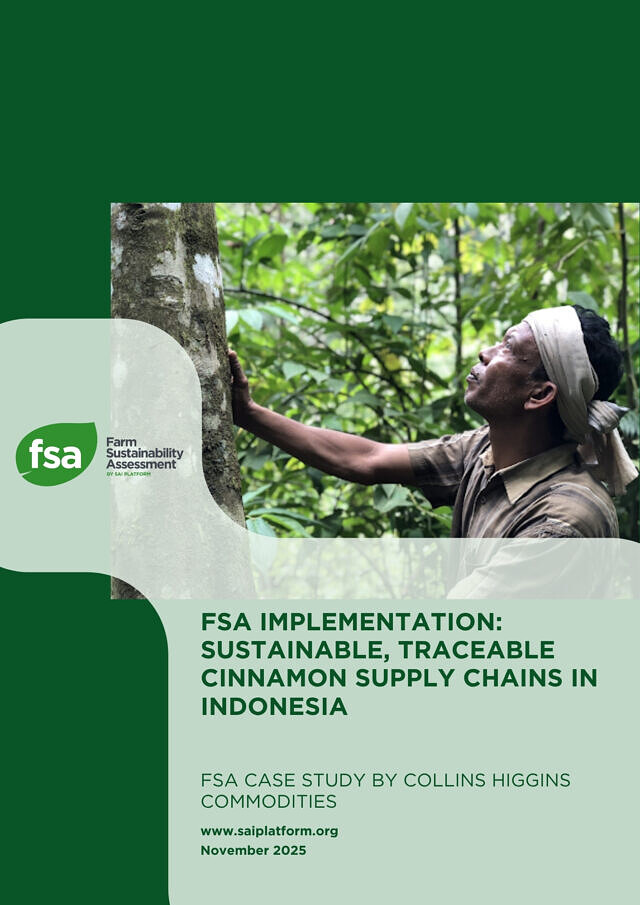FSA Implementation: Sustainable, traceable cinnamon in Indonesia picture