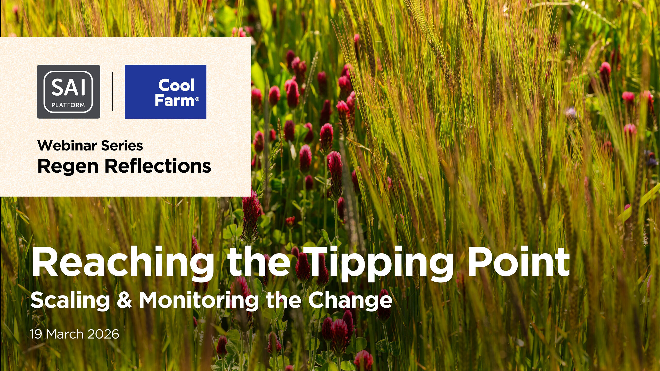 Header background picture