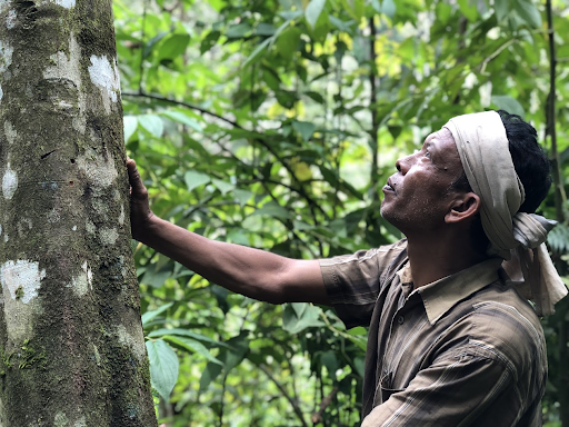 Collins Higgins Commodities wins the 2025 FSA Growing a Better Planet Award for sustainable farming leadership picture