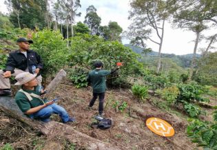 Scientifically developed allometric model