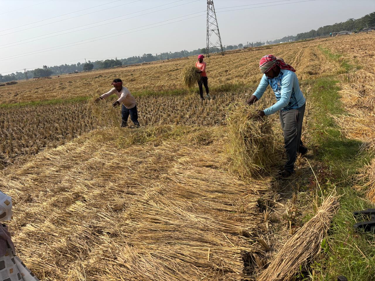 Header background picture