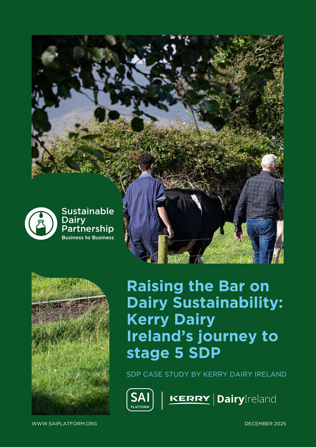 Raising the Bar on Dairy Sustainability: Kerry Dairy Ireland’s journey to stage 5 SDP picture