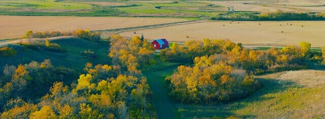 Join us to Launch the Regenerating Together Programme at the SAI Platform Annual Event 2026  picture