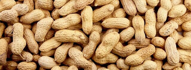 Argentina Launches Regenerative Peanuts Partnership Aimed at Sector‑Wide Transformation picture