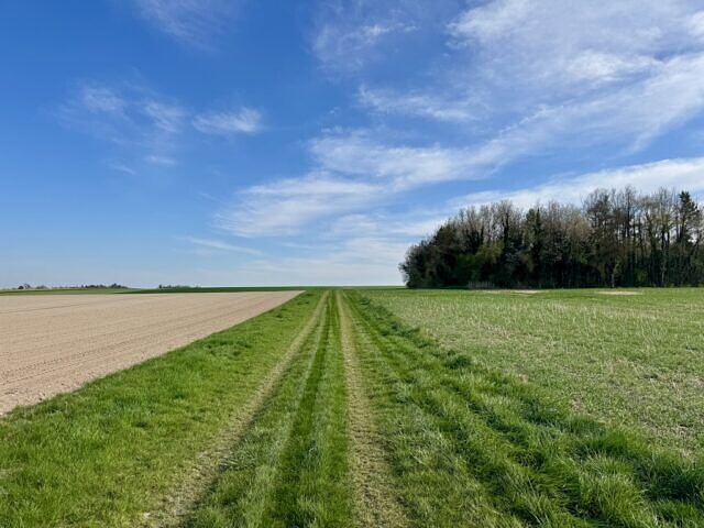 SAI Platform completes global pilot phase as industry prepares for regenerative agriculture transition picture