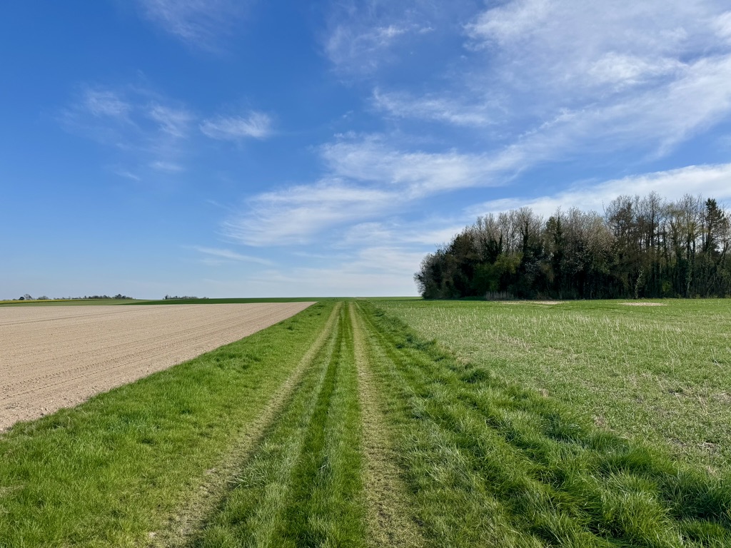 Header background picture