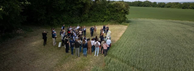 Global food industry leaders sign joint declaration to scale regenerative agriculture picture