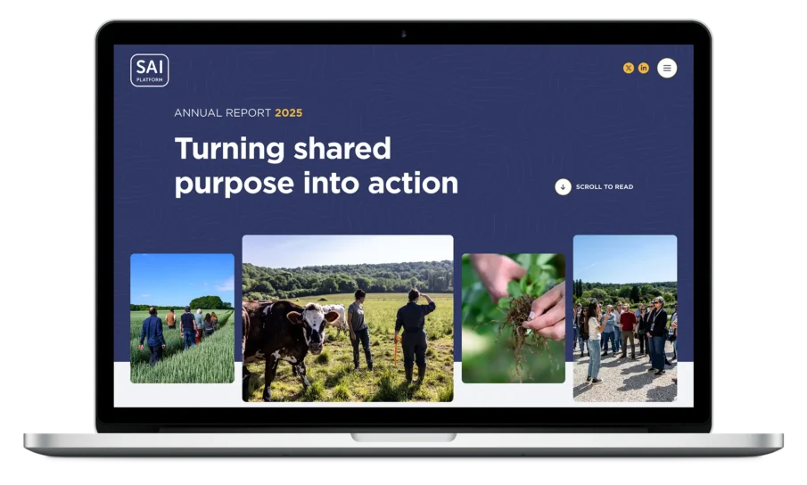 Annual Report 2025 picture