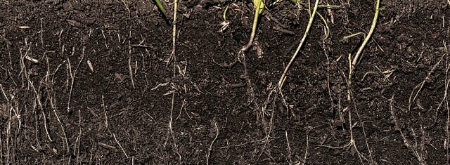 Open Call for Farmers to Take Part in TRAILS4SOIL picture