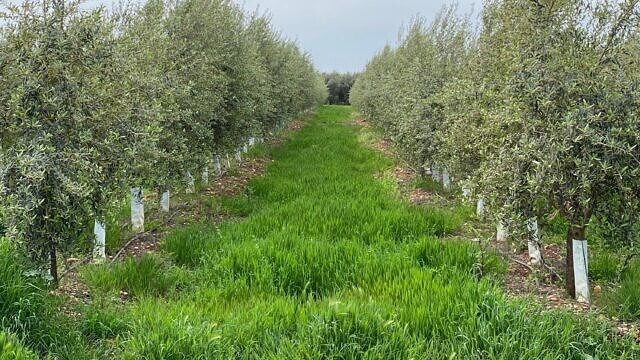 TRAILS4SOIL: Turning collaboration into soil recovery  picture