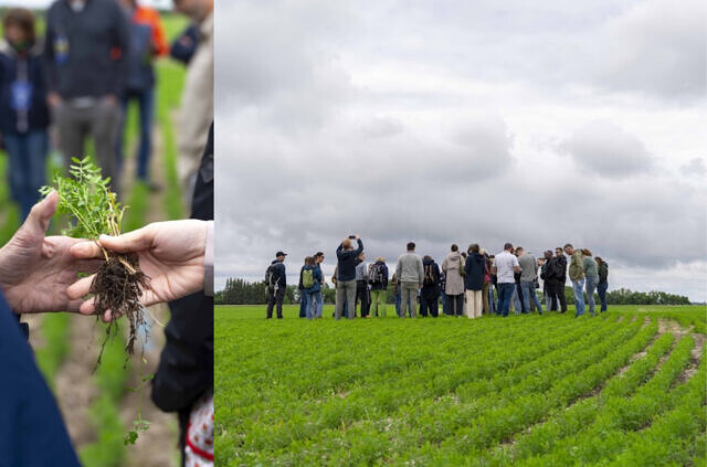 What Saskatchewan Reveals About Context-Driven Regenerative Agriculture picture