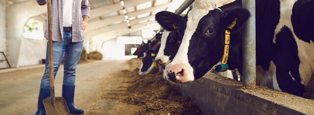 Dairy sector launches consultation on guidance for new greenhouse gas reporting standard   picture