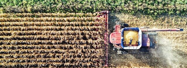 From Ambition to Action: Scaling Regenerative Agriculture Through Collaboration picture